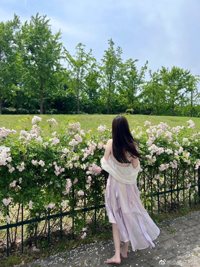 间谍过家家 剧照