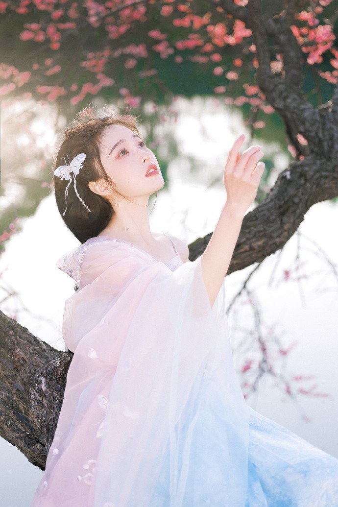 财阀家的小儿子